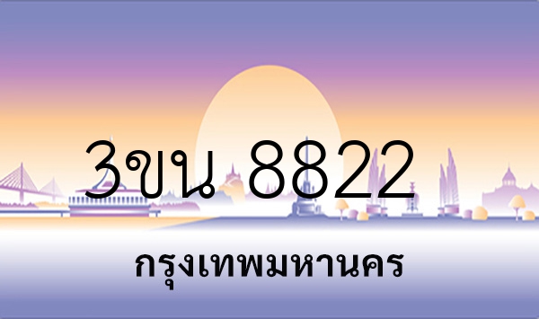 3ขน 8822
